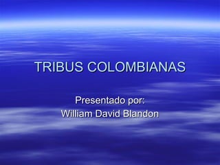 TRIBUS COLOMBIANAS Presentado por: William David Blandon 