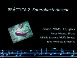 PRÁCTICA 2. Enterobacteriaceae



                Grupo 7QM1 Equipo 7
                       Flores Miranda Liliana
               Ubaldo Lazcano Adolfo Ernesto
                    Yong Mendoza Samantha
 