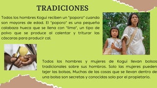 TRADICIONES
Todos los hombres Kogui reciben un "poporo" cuando
son mayores de edad. El "poporo" es una pequeña
calabaza hueca que se llena con "lima", un tipo de
polvo que se produce al calentar y triturar las
cáscaras para producir cal.
Todos los hombres y mujeres de Kogui llevan bolsos
tradicionales sobre sus hombros. Solo las mujeres pueden
tejer las bolsas, Muchas de las cosas que se llevan dentro de
una bolsa son secretas y conocidas solo por el propietario.
 