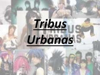 Tribus 
Urbanas 
 