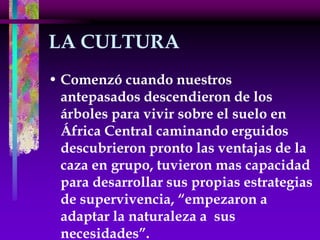 Tribus Urbanas 2