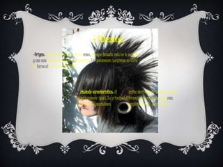 ⦁ Pokemones
· Origen: Cultura similar a la de los emos, aunque basada más en la estética
y con una visión de la vida más positiva. Los pokemones surgieron en Chile
en torno al los años 2006-2008
· Atuendo característico: Al ser una tribu derivada de los emos, visten
practicamente igual. Su principal diferencia es que llevan ropa más
colorida, con pantalones chillones y complementos de colores vivos.
 