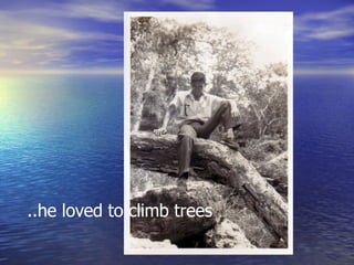 ..he loved to climb trees 
