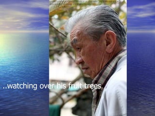 ..watching over his fruit trees 