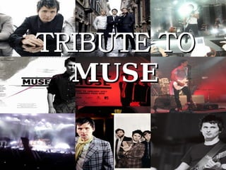 TRIBUTE TO MUSE 