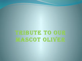TRIBUTE TO OUR
MASCOT OLIVER
 
