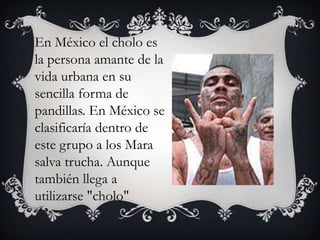 En México el cholo es la persona amante de la vida urbana en su sencilla forma de pandillas. En México se clasificaría dentro de este grupo a los Marasalva trucha. Aunque también llega a utilizarse "cholo"
