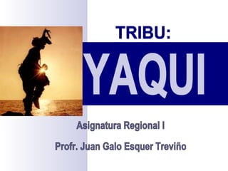 YAQUI TRIBU: Asignatura Regional I Profr. Juan Galo Esquer Treviño 