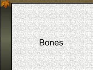 Bones
 