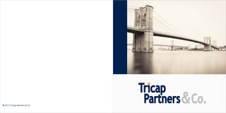 © 2013 Tricap Partners & Co.
 