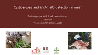 Cysticercosis and Trichinella detection in meat
Training on parasitic foodborne diseases
Fred Unger
Vientiane, Laos PDR, 15 February 2017
 