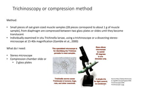 Cysticercosis and Trichinella detection in meat