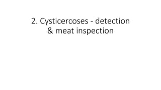 Cysticercosis and Trichinella detection in meat