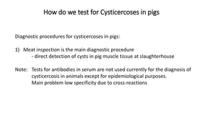Cysticercosis and Trichinella detection in meat