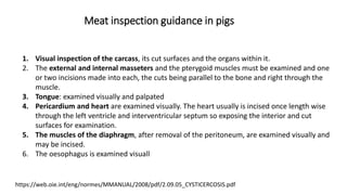 Cysticercosis and Trichinella detection in meat