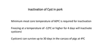 Cysticercosis and Trichinella detection in meat