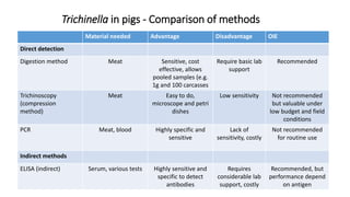 Cysticercosis and Trichinella detection in meat