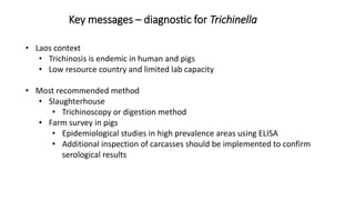 Cysticercosis and Trichinella detection in meat