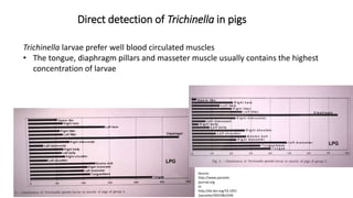 Cysticercosis and Trichinella detection in meat