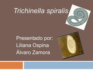 Presentado por:
Liliana Ospina
Álvaro Zamora
Trichinella spiralis
 