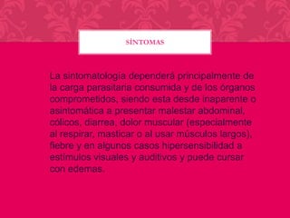 SÍNTOMAS

La sintomatología dependerá principalmente de
la carga parasitaria consumida y de los órganos
comprometidos, siendo esta desde inaparente o
asintomática a presentar malestar abdominal,
cólicos, diarrea, dolor muscular (especialmente
al respirar, masticar o al usar músculos largos),
fiebre y en algunos casos hipersensibilidad a
estímulos visuales y auditivos y puede cursar
con edemas.

 