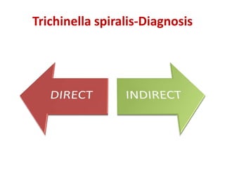 Trichinella spiralis-Diagnosis
 