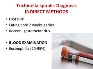Trichinella spiralis-Diagnosis
INDIRECT METHODS
• HISTORY
• Eating pork 2 weeks earlier
• Recent –gasteroenteritis
• BLOOD EXAMINATION
• Eosinophilia (20-95%)
 
