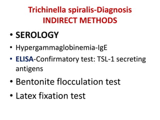 Trichinella spiralis-Diagnosis
INDIRECT METHODS
• SEROLOGY
• Hypergammaglobinemia-IgE
• ELISA-Confirmatory test: TSL-1 secreting
antigens
• Bentonite flocculation test
• Latex fixation test
 