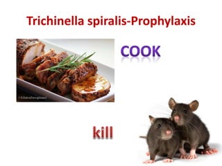 Trichinella spiralis-Prophylaxis
 