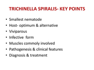 TRICHINELLA SPIRALIS- KEY POINTS
• Smallest nematode
• Host- optimum & alternative
• Viviparous
• Infective form
• Muscles commoly involved
• Pathogenesis & clinical features
• Diagnosis & treatment
 