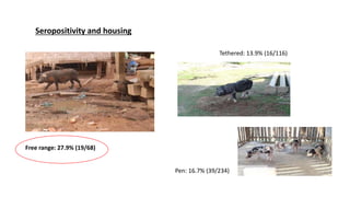 Using a One Health approach to assess and reduce parasitic foodborne diseases such as trichinellosis in Southern Laos