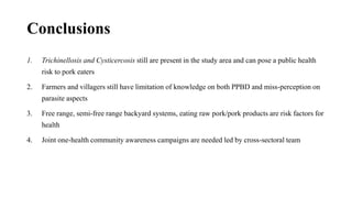 Seroprevalence of trichinellosis and cysticercosis infections of pigs correlated to human health in Southern Laos PDR