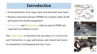 Seroprevalence of trichinellosis and cysticercosis infections of pigs correlated to human health in Southern Laos PDR