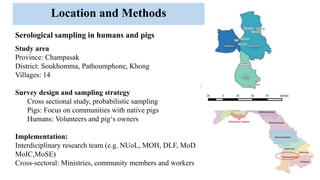 Seroprevalence of trichinellosis and cysticercosis infections of pigs correlated to human health in Southern Laos PDR