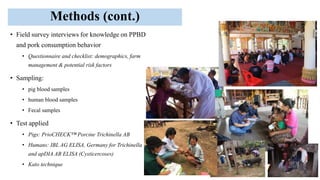 Seroprevalence of trichinellosis and cysticercosis infections of pigs correlated to human health in Southern Laos PDR