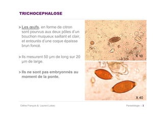 TRICHOCEPHALOSE


 Les œufs, en forme de citron
 sont pourvus aux deux pôles d’un
 bouchon muqueux saillant et clair,
 et entourés d’une coque épaisse
 brun foncé.

 Ils mesurent 50 µm de long sur 20             X 10
 µm de large.

 Ils ne sont pas embryonnés au
 moment de la ponte.




                                               X 40

Céline François & Laurent Lokiec      Parasitologie   3
 