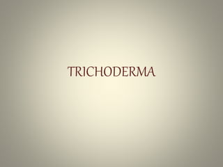 TRICHODERMA
 
