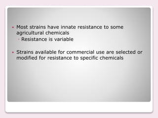  Most strains have innate resistance to some
agricultural chemicals
◦ Resistance is variable
 Strains available for commercial use are selected or
modified for resistance to specific chemicals
 