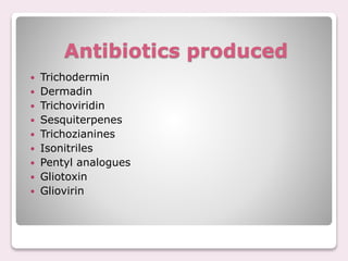 Trichoderma | PPTX