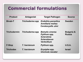 Commercial formulations
Product Antagonist Target Pathogen Source
Binab-T Trichoderma spp Endothia parasitica
Armillaria me/tea
Ceratocystfs ulmi
Sweden
Trichodermin Trichoderma spp Botrytis cinerea
Pythium spp.
Sclerotinia
Sclerotiarum
Verticillium
Bulgaria &
Russia
F-Stop T. harzianum Pythium spp. U.S.A.
Trichodex T. harzianum Erysiphe spp.
Uncinula necator
Israel
 