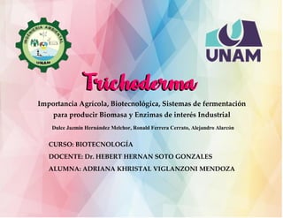 TrichodermaTrichoderma
Importancia Agrícola, Biotecnológica, Sistemas de fermentación
para producir Biomasa y Enzimas de interés Industrial
Dulce Jazmín Hernández Melchor, Ronald Ferrera Cerrato, Alejandro Alarcón
CURSO: BIOTECNOLOGÍA
DOCENTE: Dr. HEBERT HERNAN SOTO GONZALES
ALUMNA: ADRIANA KHRISTAL VIGLANZONI MENDOZA
 