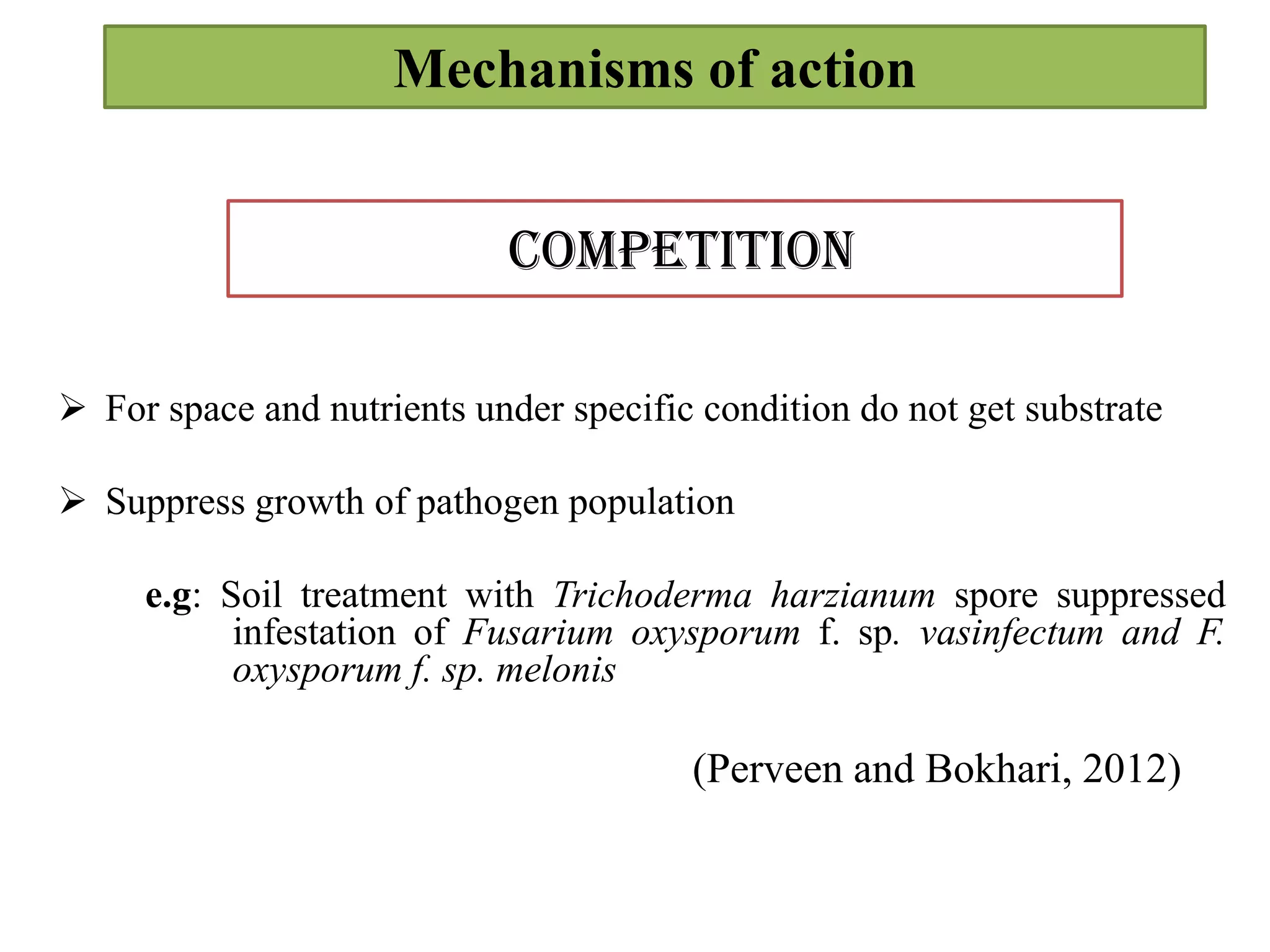 Trichoderma march 14th | PPTX