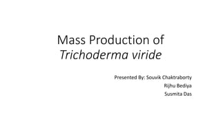 Mass Production of
Trichoderma viride
Presented By: Souvik Chaktraborty
Rijhu Bediya
Susmita Das
 