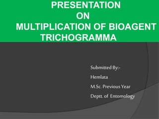 PRESENTATION
ON
MULTIPLICATION OF BIOAGENT
TRICHOGRAMMA
SubmittedBy:-
Hemlata
M.Sc. Previous Year
Deptt.of Entomology
 