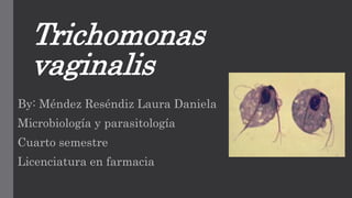 Trichomonas
vaginalis
By: Méndez Reséndiz Laura Daniela
Microbiología y parasitología
Cuarto semestre
Licenciatura en farmacia
 