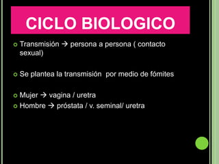CICLO BIOLOGICO
   Transmisión  persona a persona ( contacto
    sexual)

   Se plantea la transmisión por medio de fómites

 Mujer  vagina / uretra
 Hombre  próstata / v. seminal/ uretra
 
