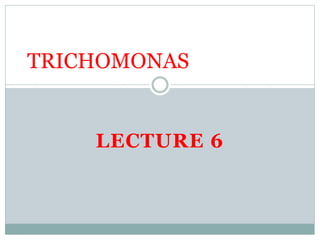 LECTURE 6
TRICHOMONAS
 