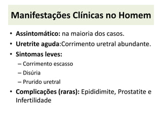 Manifestações Clínicas no Homem
• Assintomático: na maioria dos casos.
• Uretrite aguda:Corrimento uretral abundante.
• Sintomas leves:
– Corrimento escasso
– Disúria
– Prurido uretral
• Complicações (raras): Epididimite, Prostatite e
Infertilidade
 
