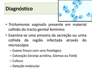 Diagnóstico
• Trichomonas vaginalis presente em material
colhido do tracto genital feminino
• Examina-se uma amostra da secreção ou urina
colhida da região infectada através do
microscópio
– Exame fresco com soro fisiológico
– Coloração (laranja acridina, Giemsa ou Field)
– Cultura
– Deteção molecular
 