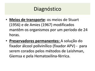Diagnóstico
• Meios de transporte: os meios de Stuart
(1956) e de Amies (1967) modificados
mantêm os organismos por um período de 24
horas.
• Preservadores permanentes: A solução do
fixador álcool polivinílico (fixador APV) - para
serem corados pelos métodos de Leishman,
Giemsa e pela Hematoxilina-férrica.
 